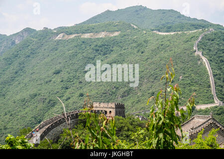 A Long Live Chairman Mao slogan from the Culture Revolution era can be seen on the mountain side below the Great Wall of China at Mu Tian Yu Stock Photo