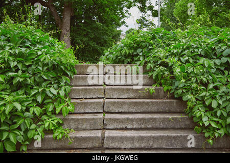 Stairs overgrown with grapevine in a public park Stock Photo