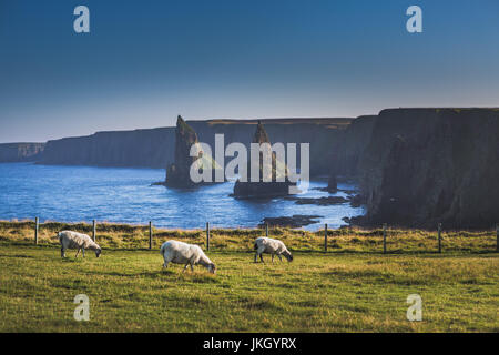 Stacks of Duncansby at Duncansby Head Stock Photo