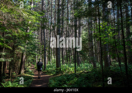 Views from the trail of mount van hoevenberg Lake Placid NY Stock Photo