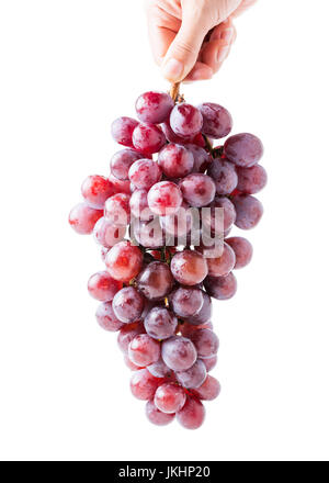 fresh grape in hand isolated on the white background. Stock Photo