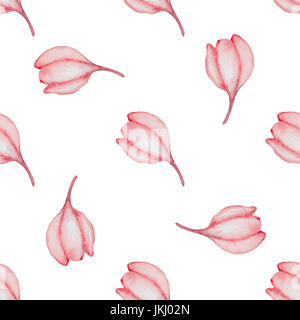 Hand drawn watercolor seamless pattern with red flowers on a white background Stock Photo