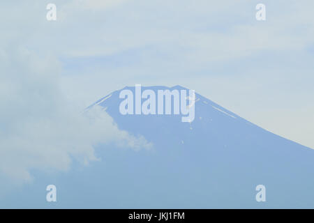 Summer colorful Poppy flower fields at Mount Fuji valley in Japan Stock Photo