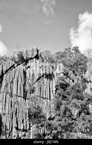 blur in philippines view from a boat of  palm cliff beach and rock from pacific ocean Stock Photo