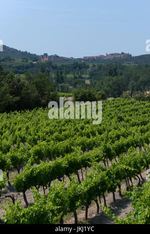 view over winegrowing fields to hilltop village Roussillon, Provence, France Stock Photo