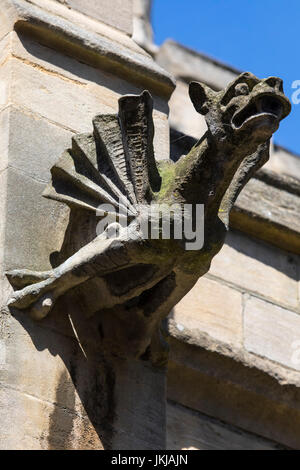 A gargoyle on the exterior of St. Marys Church in York, UK. Stock Photo