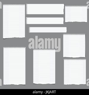Ripped ruled note, notebook, copybook vertical and horizontal paper strips, sheets grey background. Stock Vector