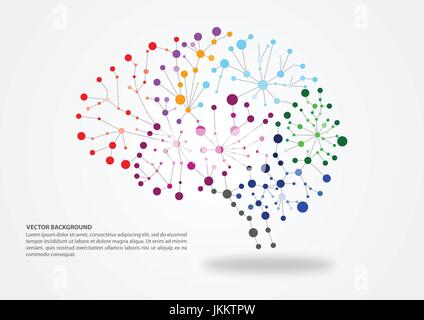 Brain mapping concept Stock Vector