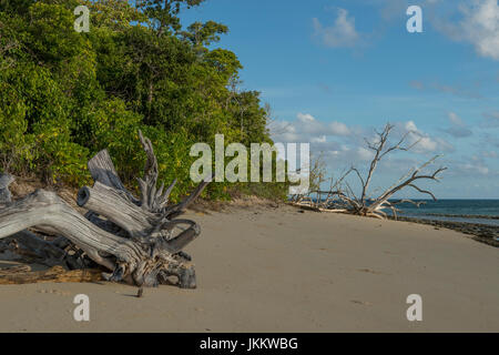Beach on Green Island, Queensland, Australia Stock Photo