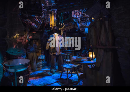LEAVESDEN, UK - JUNE 19TH 2017: The set of Hagrids Hut at the Making of Harry Potter tour at Warner Bros studio in Leavesden, UK, on 19th June 2017. Stock Photo