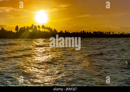 Sun setting behind a line of coconut palms in Cadiz City, Negros Occidental Island, Philippines. Stock Photo