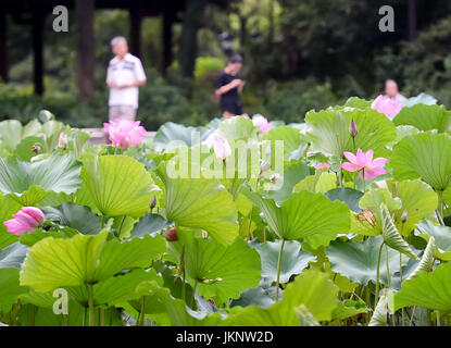 Fuzhou, China's Fujian Province. 24th July, 2017. People enjoy lotus flowers at the Xihu Park in Fuzhou, southeast China's Fujian Province, July 24, 2017. Credit: Mei Yongcun/Xinhua/Alamy Live News Stock Photo