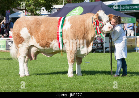 Builth Wells, Wales, UK. 24th July, 2017. Judged to be the best animal of all the cattle breeds judged,this Simmental took top prize.With handler at the cattle ring at The Royal Welsh Showground.Llanelwedd,Builth Wells,Powys,Wales,UK.Sunny opening day of the 4 day event,which is the largest of its kind in Europe. Credit: Paul Quayle/Alamy Live News