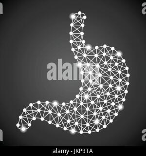 Human Stomach Isolated On A Black Background. Vector Illustration. Stock Vector