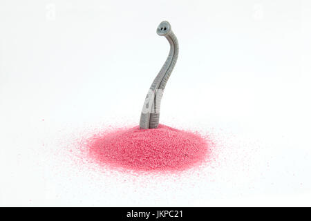 An elephant trunk emerging from a pile of pink sand as if he were hiding. Minimal, funny and quirky design still life photography Stock Photo