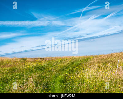 A track through a summer meadow on a sunny day in Wiltshire. Stock Photo
