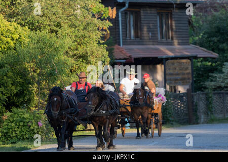 A horse carriage in Cigoc, Lonjsko polje, Croatia Stock Photo