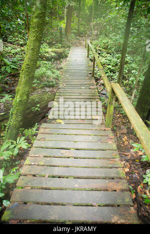 An old rugged wooden bridge crossing in the deep rainforest of Borneo in Malaysia. Stock Photo