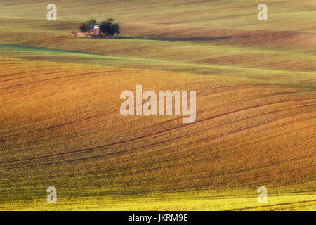 South Moravian fields Stock Photo