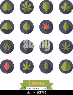 Leaves flat design long shadow round icons collection Stock Vector