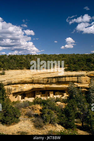 Spruce Tree House Anasazi cliff dwelling, Mesa Verde, Colorado: view east from trail near museum, 3rd largest cliff dwellling within the park. Stock Photo