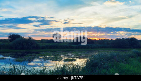 Sunset in the countryside. Summer landscape. Pond overgrown with sedges. Toned image. Stock Photo