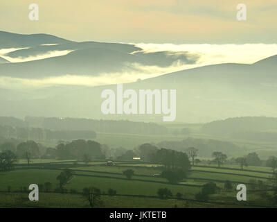 trees emerging from rising mist clinging to contours of hillsides as fog clears over the Howgill Hills in Cumbria, England, UK Stock Photo