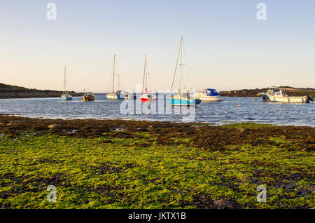 Boats on their moorings beside Cockle Island in the natural tidal harbour at Groomsport in Co Down,Northern Ireland with  Belfast Lough in the backgro Stock Photo