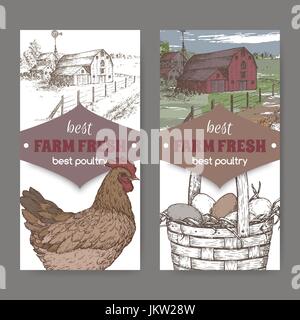 Two labels with farmhouse, color chicken and eggs on white. Stock Vector
