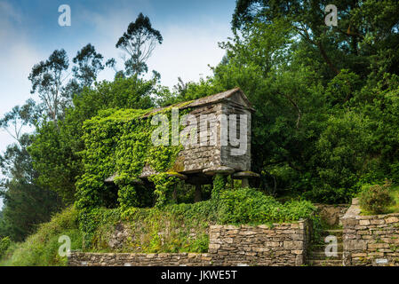 An hórreo is a typical granary from the northwest of the Iberian Peninsula (mainly Galicia, Asturias and Northern Portugal), Galicia, Spain, Europe. Stock Photo