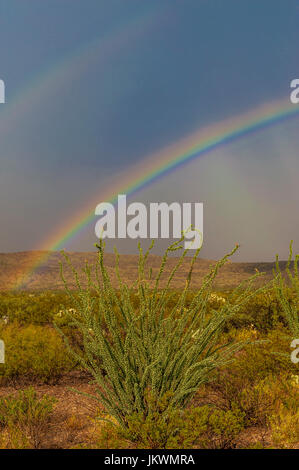 Rainbow after storm in Big Bend National Park Stock Photo