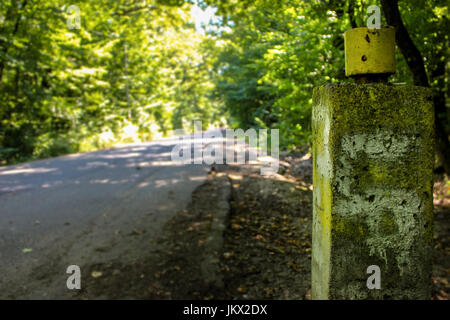 Concrete pillar on the street in forest Stock Photo