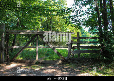 A gate made from wood and iron in the forest Stock Photo