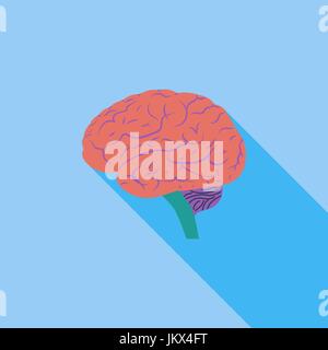 Brain icon. Flat vector related icon with long shadow for web and mobile applications. It can be used as - logo, pictogram, icon, infographic element. Stock Vector