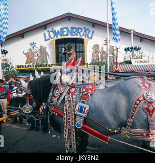 Brauereipferde der Löwenbräu Brauerei vor dem Löwenbräu Festzelt auf dem Oktoberfest München, Deutschland 1980er Jahre. Horses of the Loewenbraeu brewery in front of the Loewenbraeu pavilion at the Munich Oktoberfest, Germany 1980s. Stock Photo