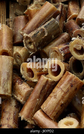 Chewy dog bones for canines Stock Photo