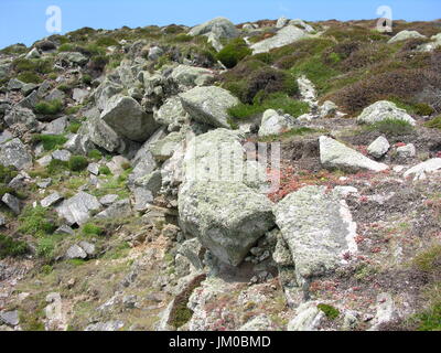 Lundy Island famous for wildlife and stunning scenery in the Bristol channel. Lundy is the old Norse for Puffin. Now run by the Landmark Trust. Stock Photo