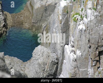 Lundy Island famous for wildlife and stunning scenery in the Bristol channel. Lundy is the old Norse for Puffin. Now run by the Landmark Trust. Stock Photo