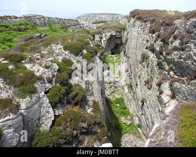 Lundy Island famous for wildlife and stunning scenery in the Bristol channel. Lundy is the old Norse for Puffin. Now run by the Landmark Trust. Stock Photo