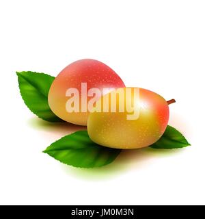 Realistic mango fruit with leaves isolated on white background. Stock Vector