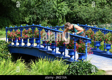 Bad Muskau, Germany. 24th July, 2017. Park gardener Babette Lange tends plants at the Fuchsienbruecke bridge in the Blauer Garten (lit. Blue Garden) in the Fuerst Pueckler Park in Bad Muskau, Germany, 24 July 2017. The park is the largest landscape park in central Europe. Photo: Jens Kalaene/dpa-Zentralbild/ZB/dpa/Alamy Live News Stock Photo