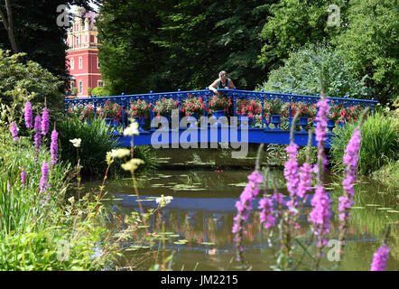 Bad Muskau, Germany. 24th July, 2017. Park gardener Babette Lange tends plants at the Fuchsienbruecke bridge in the Blauer Garten (lit. Blue Garden) in the Fuerst Pueckler Park in Bad Muskau, Germany, 24 July 2017. The park is the largest landscape park in central Europe. Photo: Jens Kalaene/dpa-Zentralbild/ZB/dpa/Alamy Live News Stock Photo