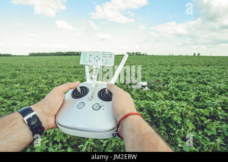 Man hands handling drone in summer green field landscape panorama. Stock Photo