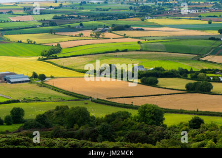 The rolling, green countryside of the Ards Peninsula as views from the top of Scrabo Tower, Newtownards in July 2017 Stock Photo