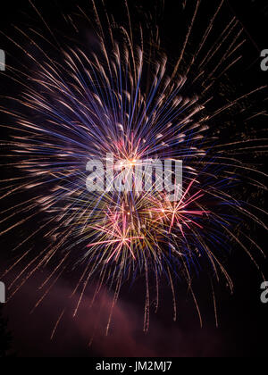 Vertical photo of red, blue, purple and orange fireworks exploding in the night sky Stock Photo