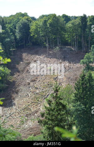 Kall, Germany - July 21, 2017 - Wind damage in forest in german Eifel Stock Photo