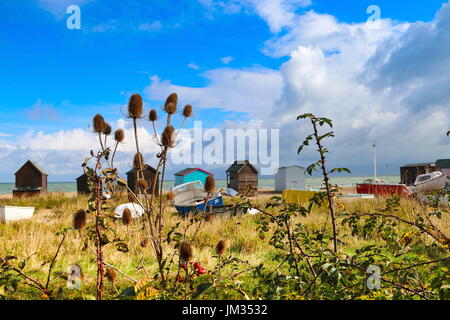 Wildflowers and Beach Huts of Kingsdown Stock Photo