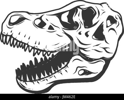 t-rex dinosaur skull isolated on white background. Images for logo, label, emblem. Vector illustration. Stock Vector