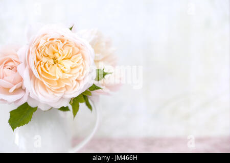 Close up study of Rose Crocus Rose Stock Photo