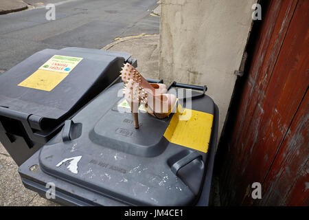 Spiky shoes on top of dustbin after a Saturday night out Stock Photo